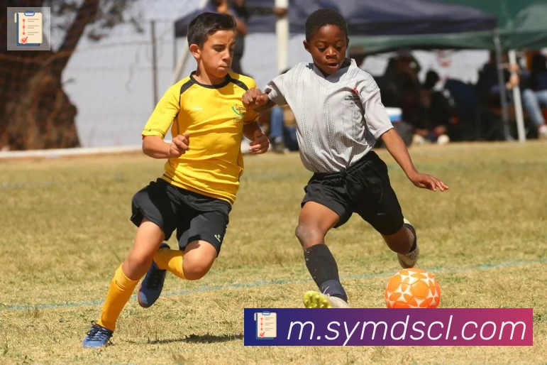 博亚app服务体系