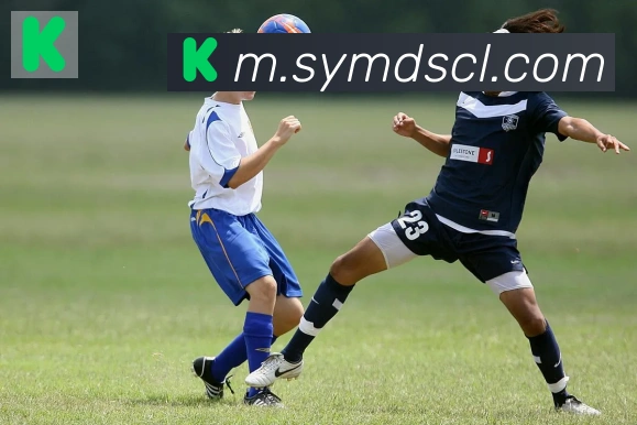 博亚appAPP 体育赛事宣传图