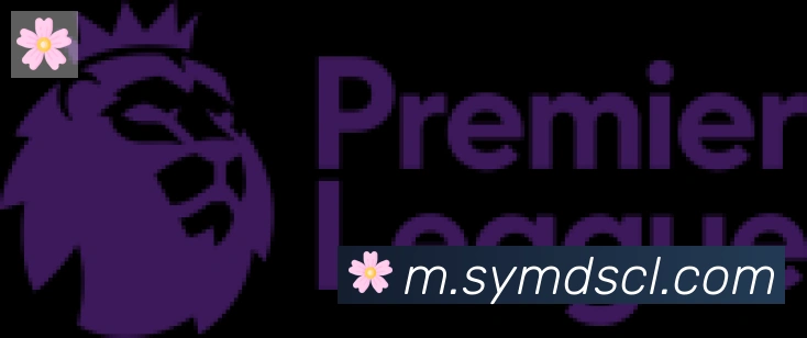 博亚app合作伙伴